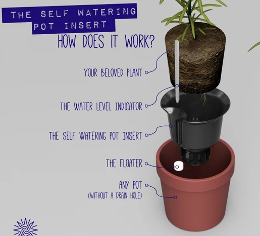 indoor plants, how self watering planters work, elements of self-watering pots, parts of self-watering planters