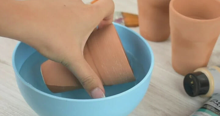 clean the terracotta pot in water, prepare terracotta pot