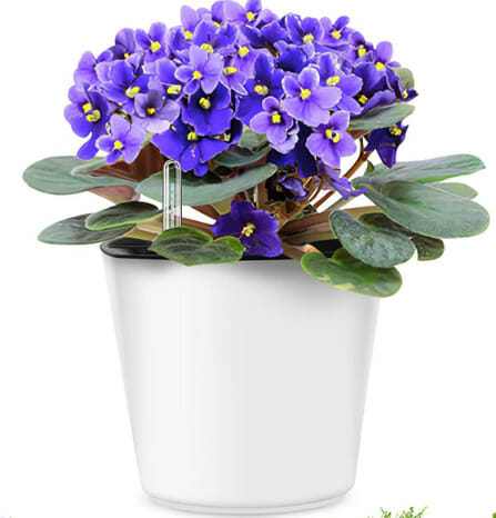 Indoor self-watering pots, indoor planter, flower pot