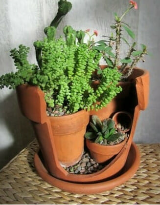 terracotta pots, why we love terracotta pots, broken terracotta pot, succulent garden