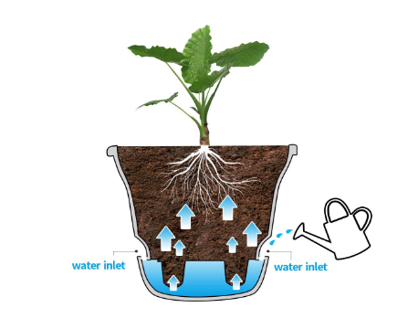 self watering planters, indoor plants, capillary action, how self watering pots work