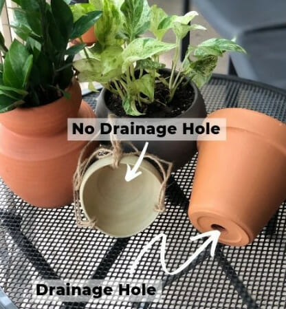 pots with drainage hole, bottom water plants, drainage is important, 
