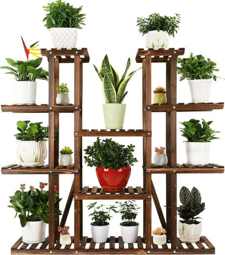 Indoor plant display, plant shelf, plant rack,