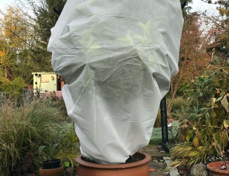 frost cloth to protect plants, 