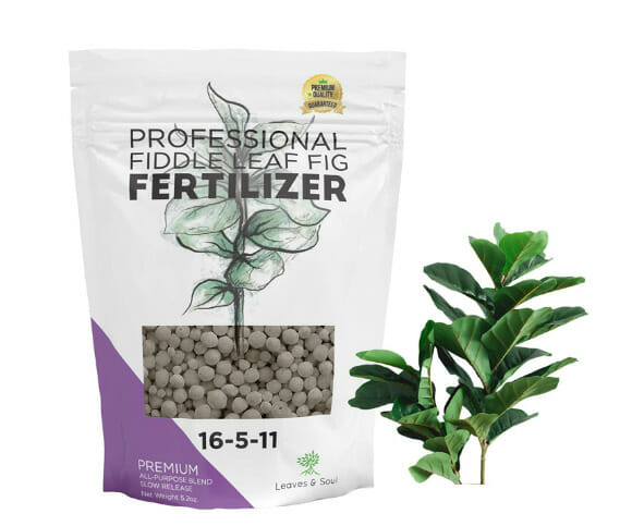 indoor plants fertilizer